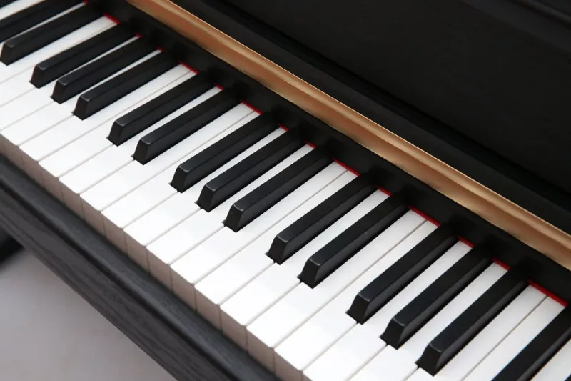 Pierre Cesar DP-500-H-BK цифровое фортепиано, 88 клавиш, черное
